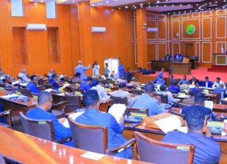 Somaliland Parliament backs President Irro’s diplomatic efforts.