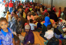 UN: 36,000 people have fled fighting in southern Ethiopia