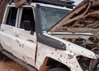 Kenya: Hagadera police commander and his driver killed in landmine blast.