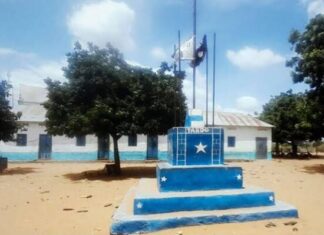 Al-Shabaab kills people in Hiiraan, and fighting is underway in Tardo..